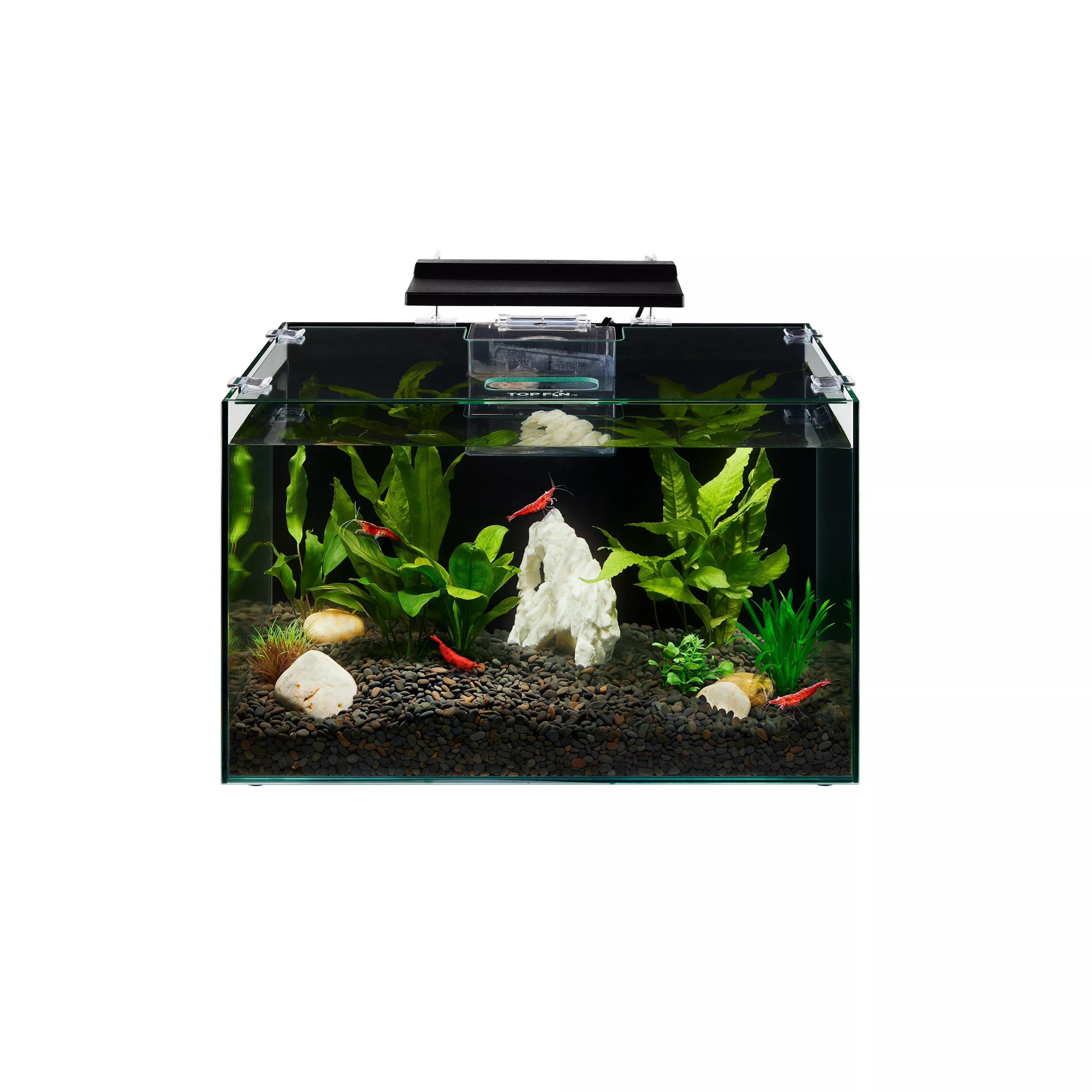 Top Fin 5 Gallon Aquarium